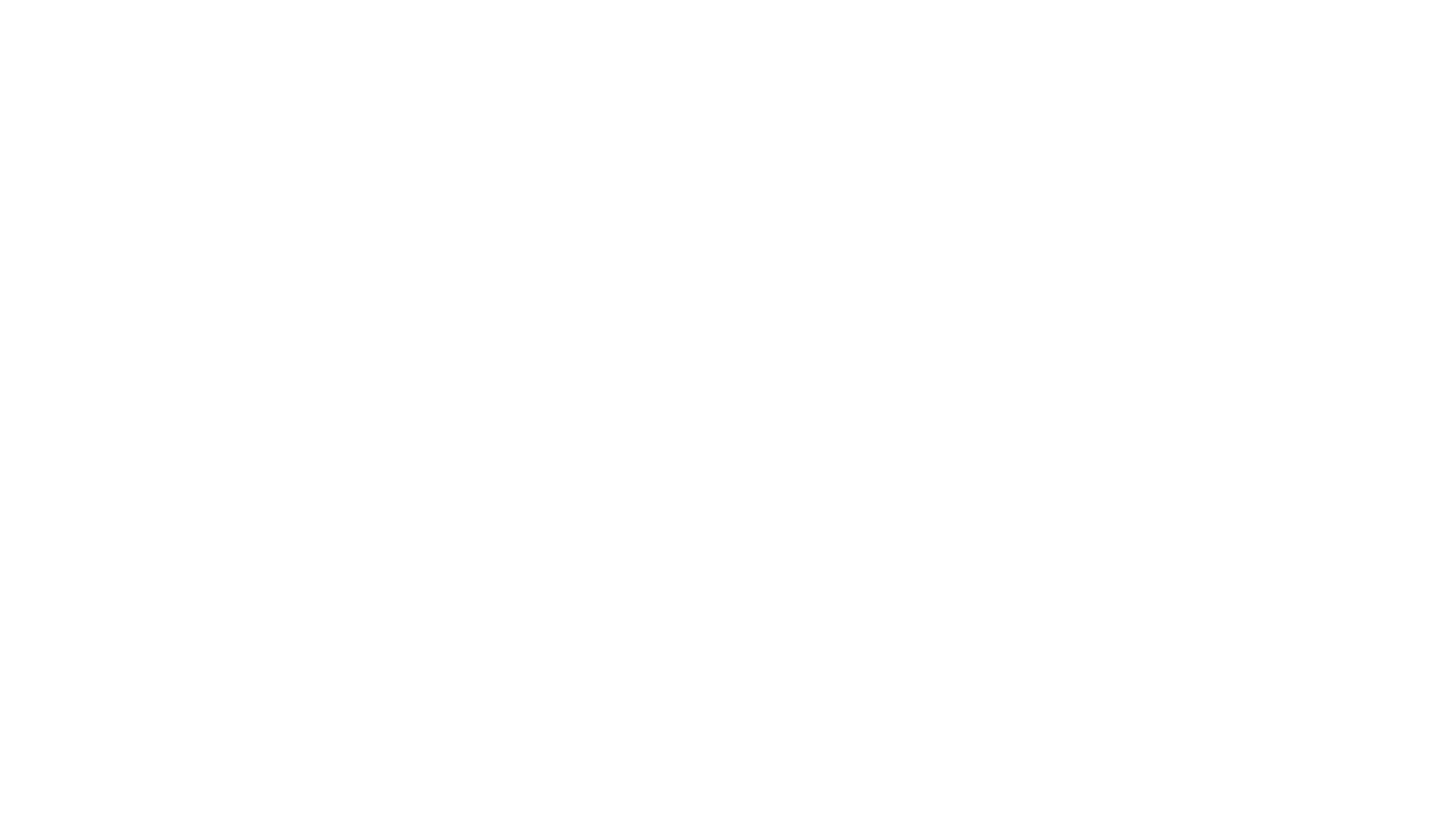 BOISSLAG